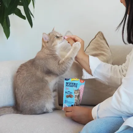 Ласощі для котів GimCat Nutri Pockets Fish Лосось 60 г — Фото 2