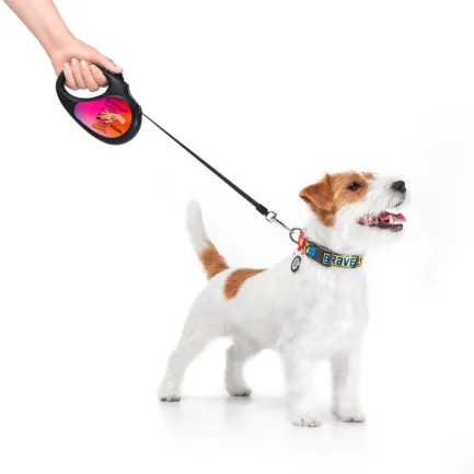 Повідець-рулетка для собак WAUDOG R-leash, малюнок "Конотопські магічні війська", M, до 25 кг, 5 м, світловідбиваюча стрічка чорний — Фото 5