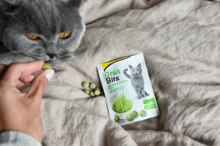 Вітамінізовані таблетки для котів GimCat Gras Bits трав'яні кульки, пауч, 425 г — Фото 4