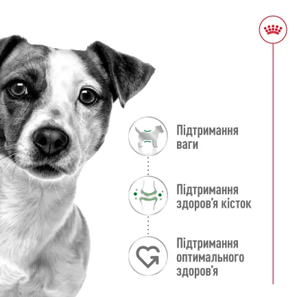 Сухий корм Royal Canin MINI ADULT для дорослих собак малих порід 2 кг — Фото 5