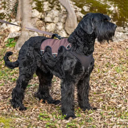 Ferplast ERGOTREKKING XL HARNESS BROWN Ергономічна шлея для собак — Фото 3