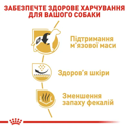 Сухий корм Royal Canin FRENCH BULLDOG ADULT для дорослих собак породи Французький бульдог 3 кг — Фото 2