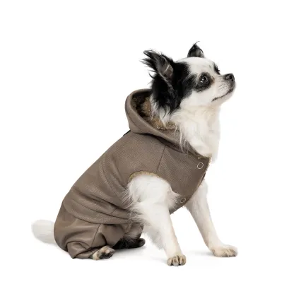 Костюм Pet Fashion «PF Style» для собак, розмір XS2, бежевий (лімітована серія) — Фото 1