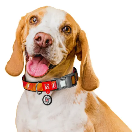 Нашийник для собак нейлоновий WAUDOG Nylon з QR паспортом, світловідбивний, малюнок "Флеш Лого", пластиковий фастекс, XL, Ш 25 мм, Дов 37-58 см — Фото 2