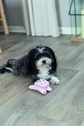Іграшка Trixie Заєць плюшевий для собак 12 см — Фото 3