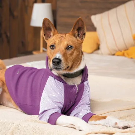 Толстовка Pet Fashion «Lilac» для дівчаток, розмір S, бузкова (лімітована серія) — Фото 4