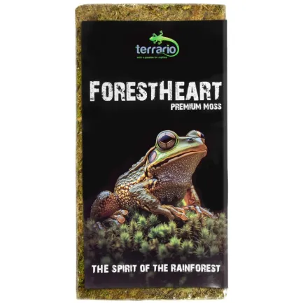 Натуральний мох торф’яний Terrario ForestHeart Sphagnum Moss 100г для тераріумів та орхідей — Фото 1