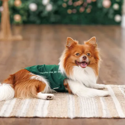 Борцівка Kale ТМ Pet Fashion для собак M зелена — Фото 3