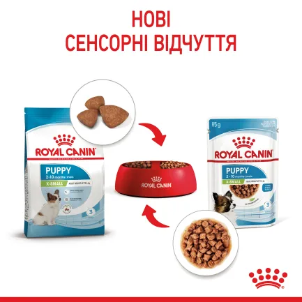Вологий корм Royal Canin XSMALL PUPPY для цуценят всіх порід 85 г — Фото 3