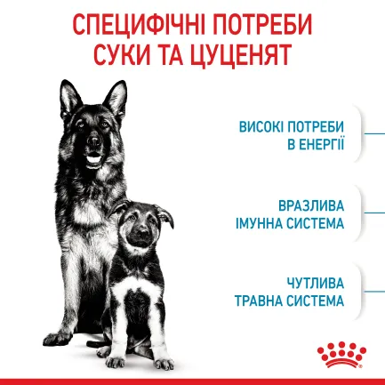 Сухий корм Royal Canin MAXI STARTER для дорослих собак великих порід 4 кг — Фото 4