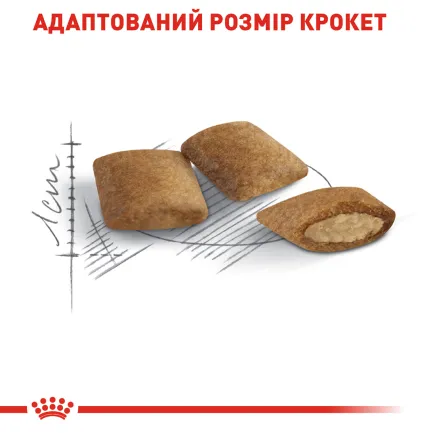 Сухий корм Royal Canin AGEING+12 для Кіт 2 кг — Фото 3