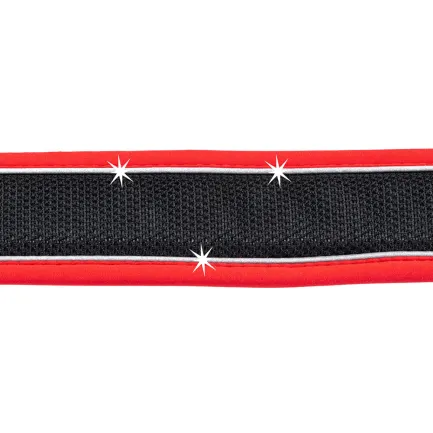 Ferplast GENIUS C25/55 RED COLLAR нейлоновий нашийник для тварин червоний — Фото 9