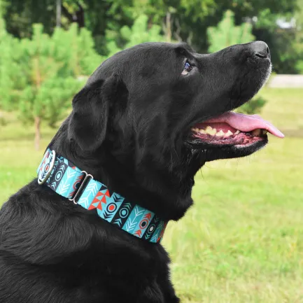 Нашийник для Собак Мартінґейл BronzeDog Urban Нейлоновий з Металевою Фурнітурою Інки L — Фото 5