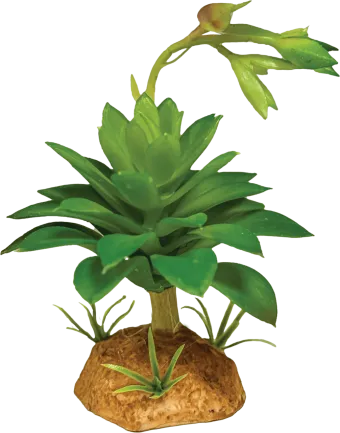 REPTO PLANT SUCCULENT GREEN (R5100630) Штучна рослина для тераріума