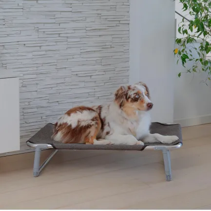 Ferplast DOG BED DREAM 80 Розкладачка металева — Фото 2