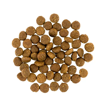 Сухий корм Savory Puppy для цуценят усіх порід, зі свіжою індичкою і куркою, 1 кг — Фото 1