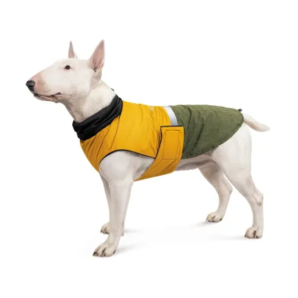 Попона Pet Fashion «Roy» для собак, розмір 3XL, хакі-гірчиця — Фото 1
