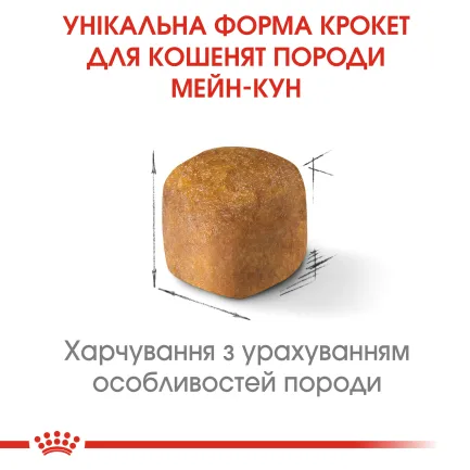 Сухий корм Royal Canin MAINECOON KITTEN для кошенят породи Мейн-кун 0,4 кг — Фото 3