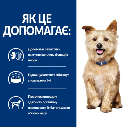 Hill's Prescription Diet k/d Сухий корм для собак для підтримання функції нирок, 1,5 кг — Фото 4