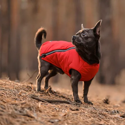 Жилет Pet Fashion «E.Vest» для собак, розмір S, червоний — Фото 2