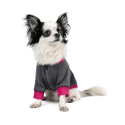 Толстовка Pet Fashion «Bim» для собак, розмір XS, сіра — Фото 2