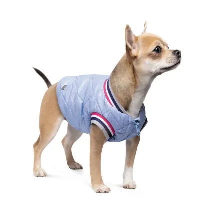 Бомбер Pet Fashion «Spike» для собак, розмір XL, блакитний — Фото 1