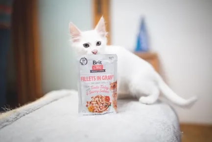 Вологий корм Brit Care Cat Pouch для котів, філе в соусі, ніжна індичка і пікантний лосось, 85 г — Фото 3