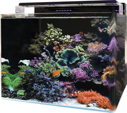BM REEF 120 AQUARIUM (N4055360) морський акваріумний комплект