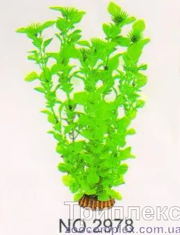Aquatic Plants (Акватик Плэнтс) Акваріумна рослина, 29 см х 6 шт/уп.