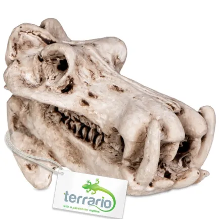Декорація череп бегемота Terrario Hippo Skull 5x3x3см (533)