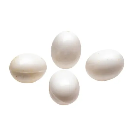 Ferplast FPI 4308 Пластикові яйця (x4)