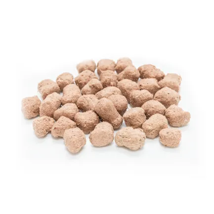 Ласощі для собак Brit Raw Treat freeze-dried Immunity для імунітету, ягня і курка, 40 г — Фото 1