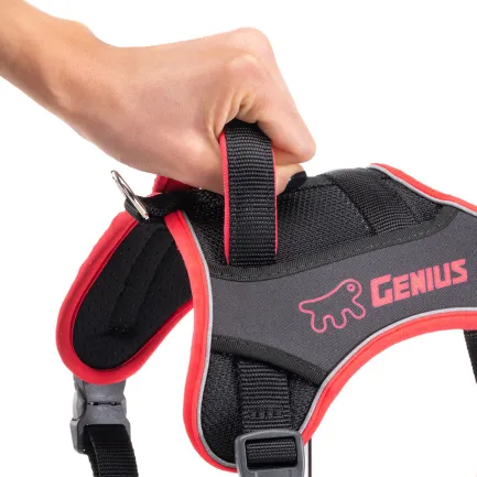 Ferplast GENIUS MEDIUM RED HARNESS нейлонова шлея для тварин червона — Фото 6