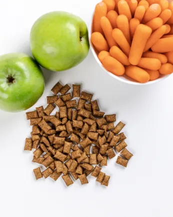 Хрумкі ласощі Savory Snack Подушечки для заохочення котів, здоров’я зубів, 60 г — Фото 4