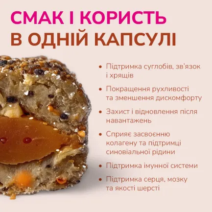 LK Baits Pet Nutrigel Salmon S-M Функціональні ласощі для собак для суглобів з лососем та Omega-3 (Ø 15 мм), 150 г — Фото 2