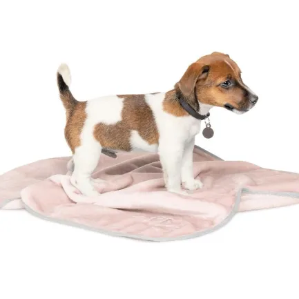 Плед Pet Fashion «Bliss» для собак та цуценят, 77х60 см, пудра — Фото 1
