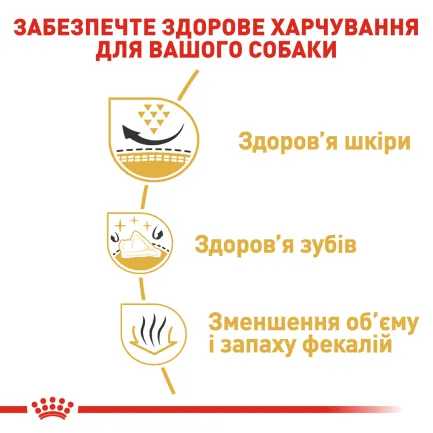Сухий корм Royal Canin SHIH TZU ADULT для дорослих собак породи Ши-цу 1,5 кг — Фото 3