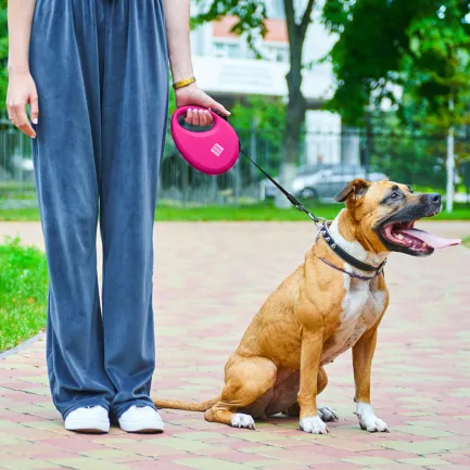 Повідець-рулетка для собак WAUDOG R-leash з контейнером для пакетів, світловідбивна стрічка, L, до 40 кг, 5 м, рожевий — Фото 1