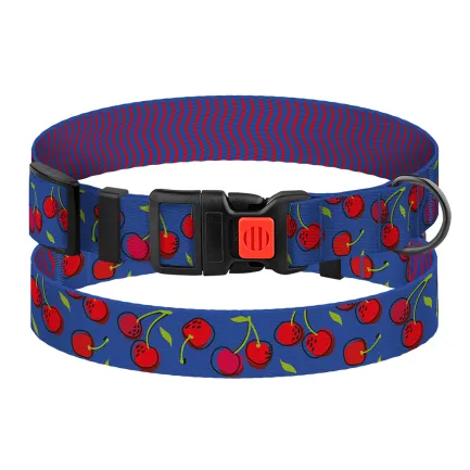 Нашийник для Собак BronzeDog Urban Fruits Нейлоновий з Пластиковою Пряжкою Вишні L