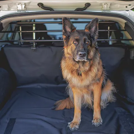 Ferplast DOG CAR SECURITY Автомобільні захисні грати для собак — Фото 2