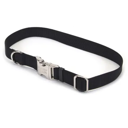 Coastal Titan Buckle КОСТАЛ ТИТАН нашийник для собак, 1.9х36-51cм Чорний