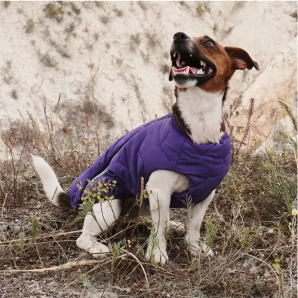 Жилет Pet Fashion «E.Vest» для собак, розмір XS2, фіолетовий — Фото 3