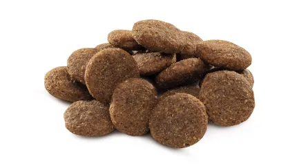 Сухий корм Brit Premium Dog Adult L для дорослих собак великих порід, з куркою, 15 кг — Фото 1