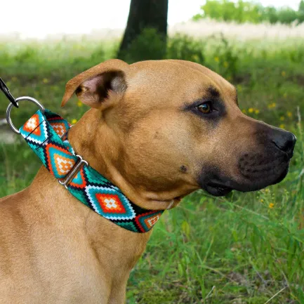 Нашийник для Собак Мартінґейл BronzeDog Urban Нейлоновий з Металевою Фурнітурою Ромби L — Фото 3