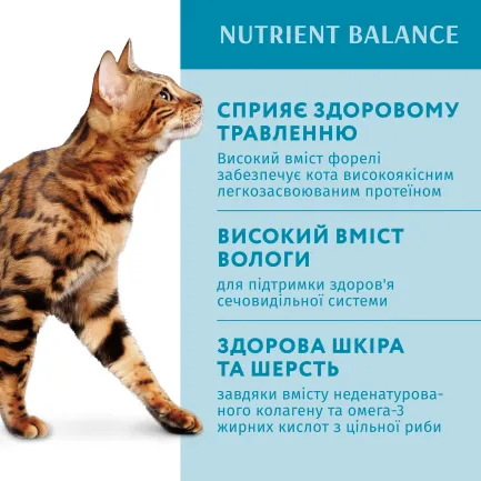 OPTIMEAL™. Консерв корм для дорослих котів з фореллю в кремовому соусі, 0,085 кг — Фото 2