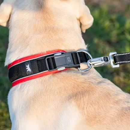 Ferplast GENIUS C25/65 BLACK COLLAR нейлоновий нашийник для тварин чорний — Фото 3