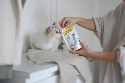 Вітамінізовані ласощі для котів GimCat MilkBits з молоком, 40 г — Фото 3