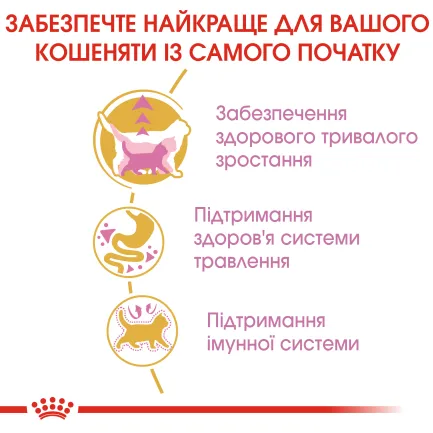 Сухий корм Royal Canin MAINECOON KITTEN для кошенят породи Мейн-кун 0,4 кг — Фото 2