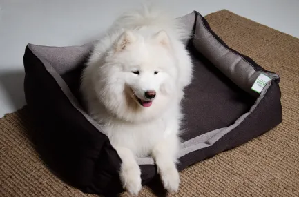Лежак Тобі №5 Коричневий Lucky Pet, 70х100х24 — Фото 1