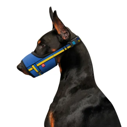 Намордник для собак WAUDOG Nylon, малюнок "Colors of freedom", пластиковий фастекс, розмір M, О 19-26 см — Фото 2